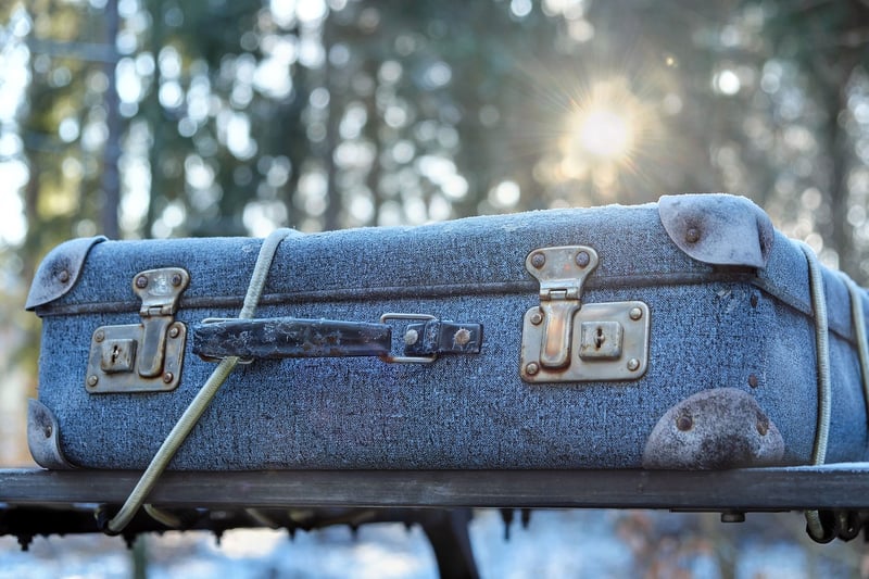 Luxury Travel Luggage